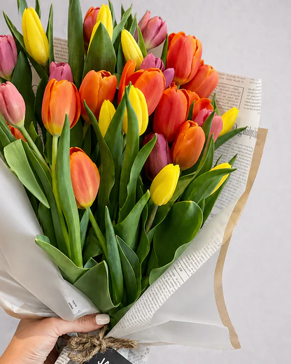 Spring Tulip Bundle